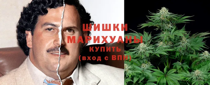 Конопля THC 21%  MEGA   Павлово  сколько стоит 